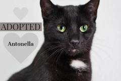 Antonella-Adopted-on-August-1-2019-with-Magdalena
