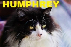 Humphrey - Adopted - June 7, 2018