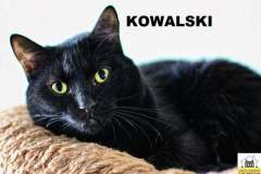 Kowalski-Adopted-on-October-12-2019