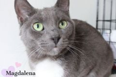 Magdalena-Adopted-on-August-1-2019-with-Antonella