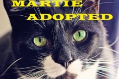 Martie - Adopted - January 20, 2018 with Sylvie