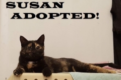 Susan-Adopted-on-March-9-2019