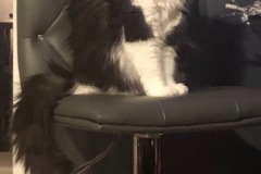 Nyxi-2019-02-08-3